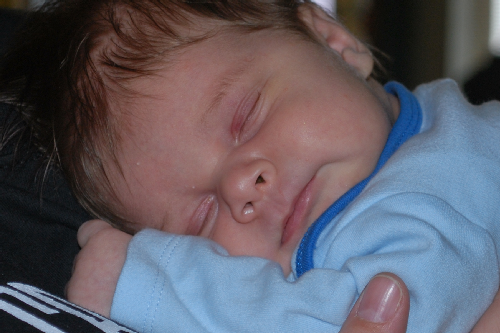 Newborn_Groundhog