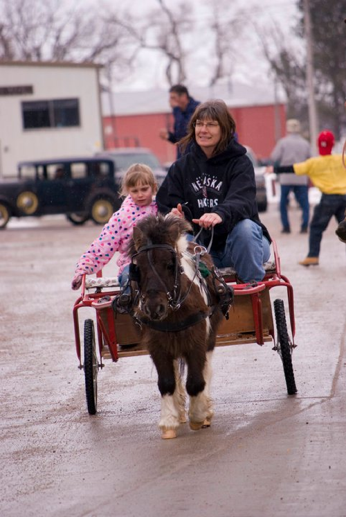 Pony_Buggy